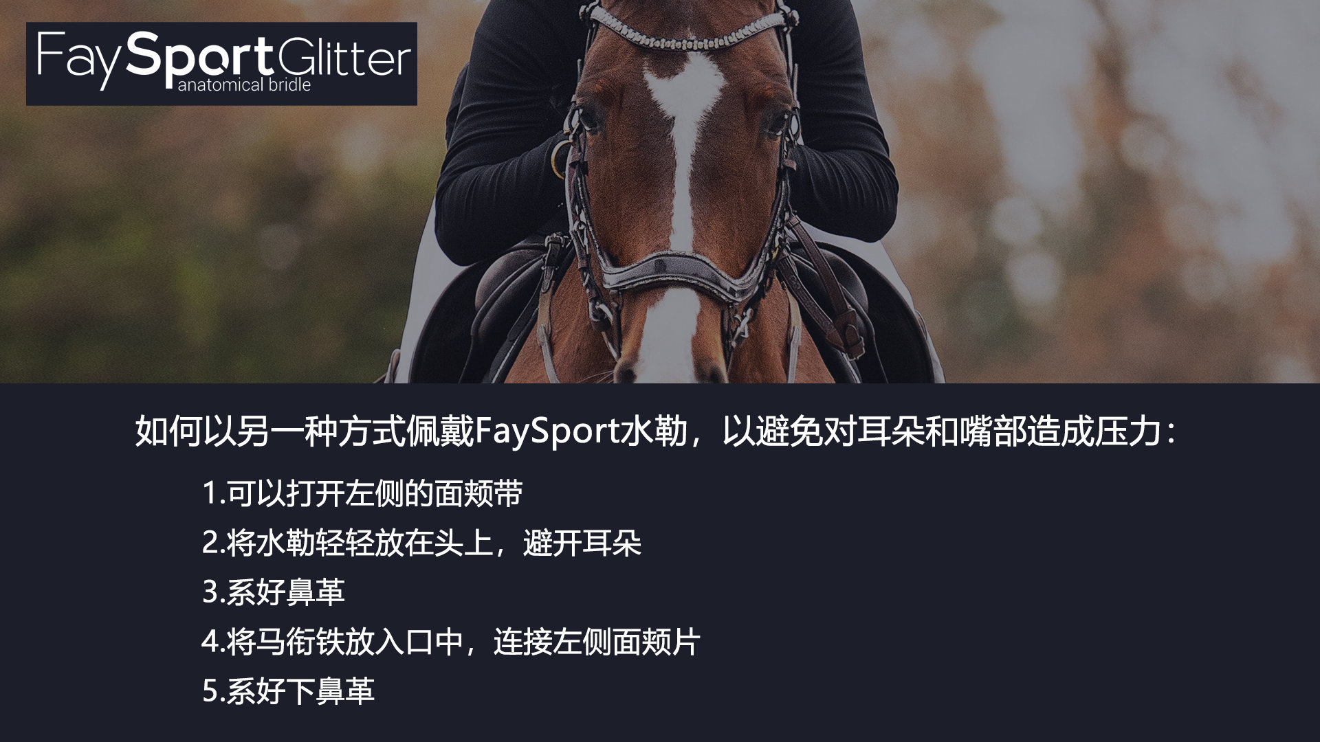 FaySport Glitter 水勒佩戴