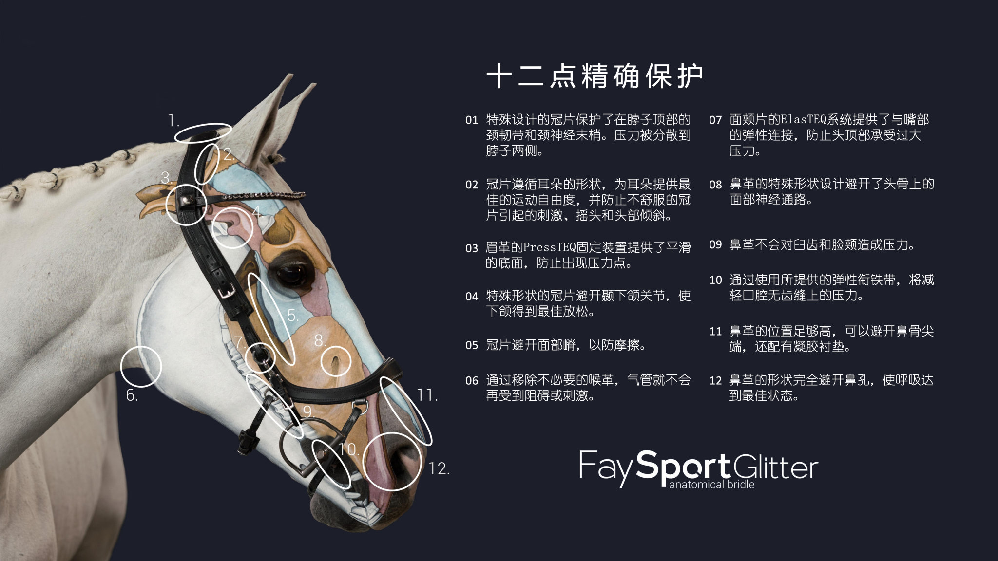 FaySport Glitter 水勒介绍